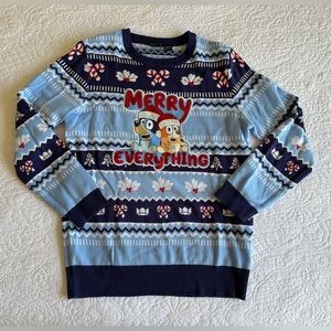 Bluey Bingo Heeler Family Santa Hat Holiday Christmas Graphic Sweater Pullover L